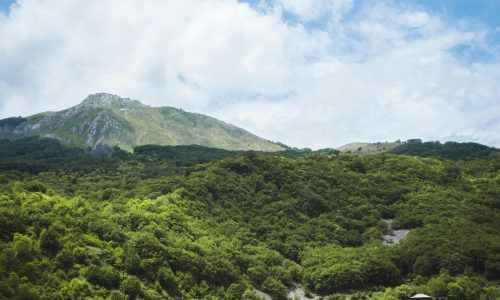 kristijan-arsov-BByNDTZFi3A-unsplash